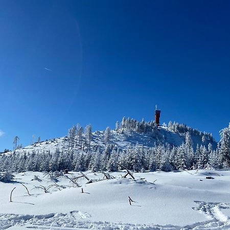 Bergtraum Braunlage Im Harz, 17 Gaeste, Sauna, Pool Villa Buitenkant foto