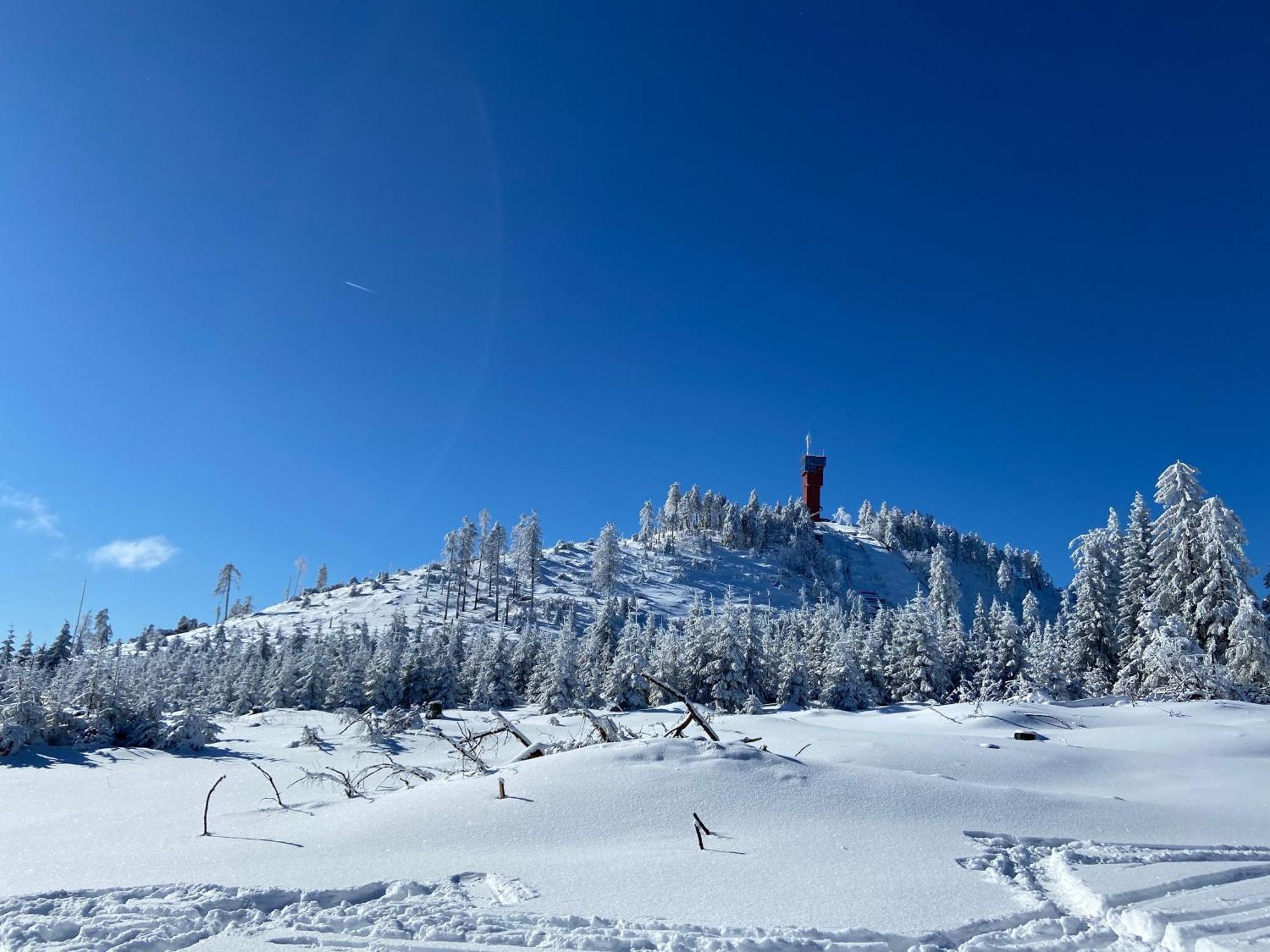 Bergtraum Braunlage Im Harz, 17 Gaeste, Sauna, Pool Villa Buitenkant foto