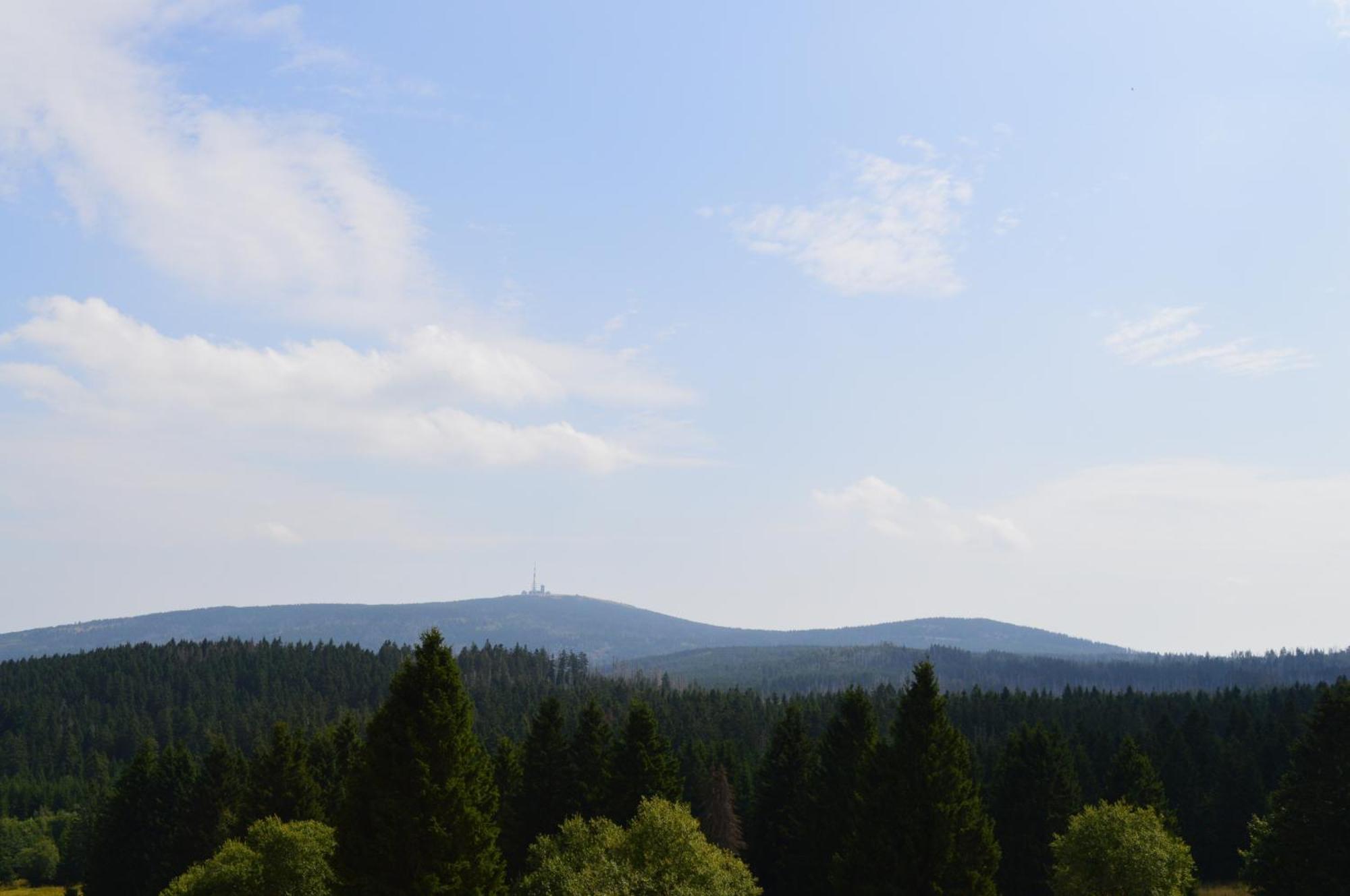 Bergtraum Braunlage Im Harz, 17 Gaeste, Sauna, Pool Villa Buitenkant foto