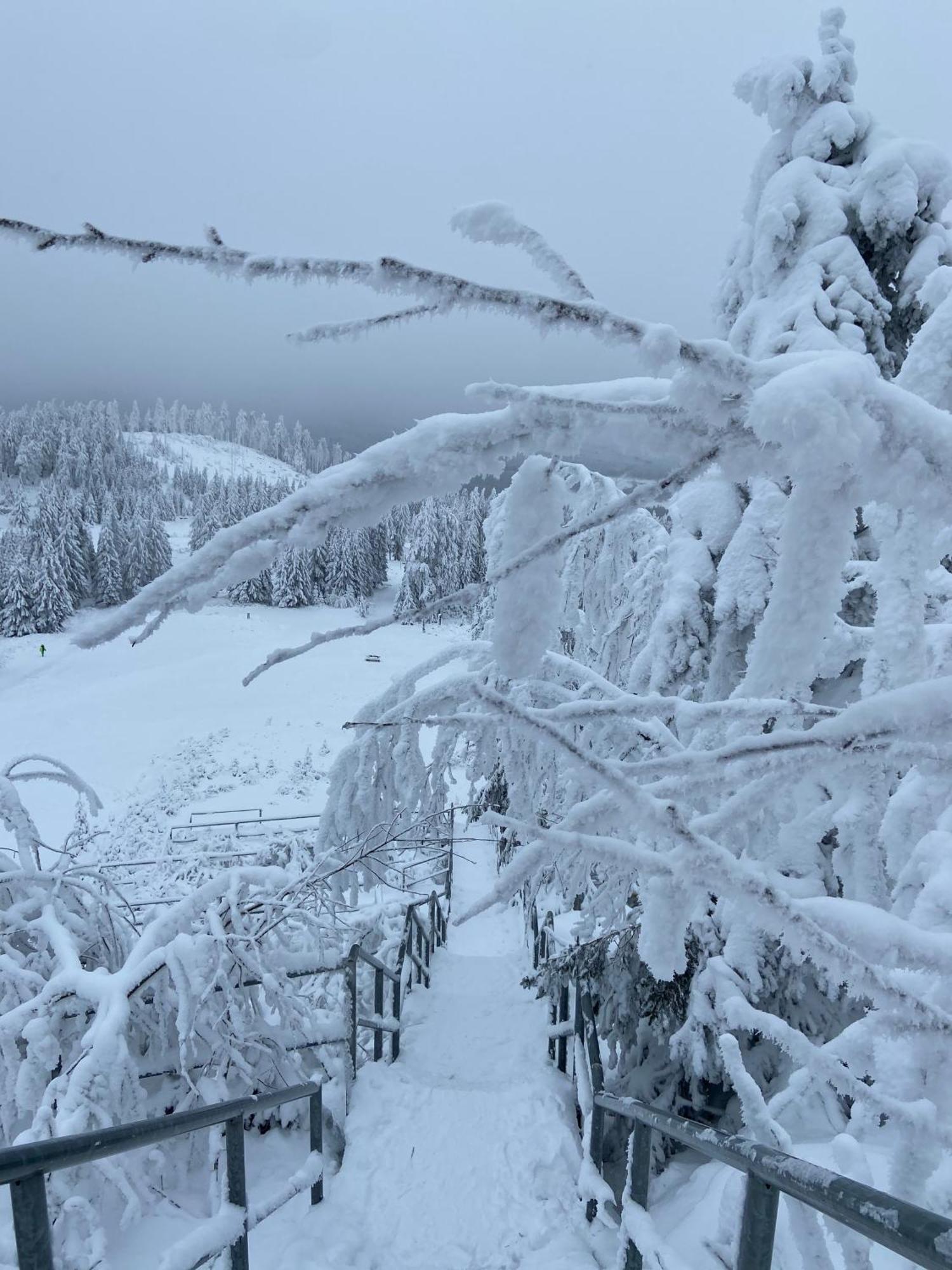 Bergtraum Braunlage Im Harz, 17 Gaeste, Sauna, Pool Villa Buitenkant foto