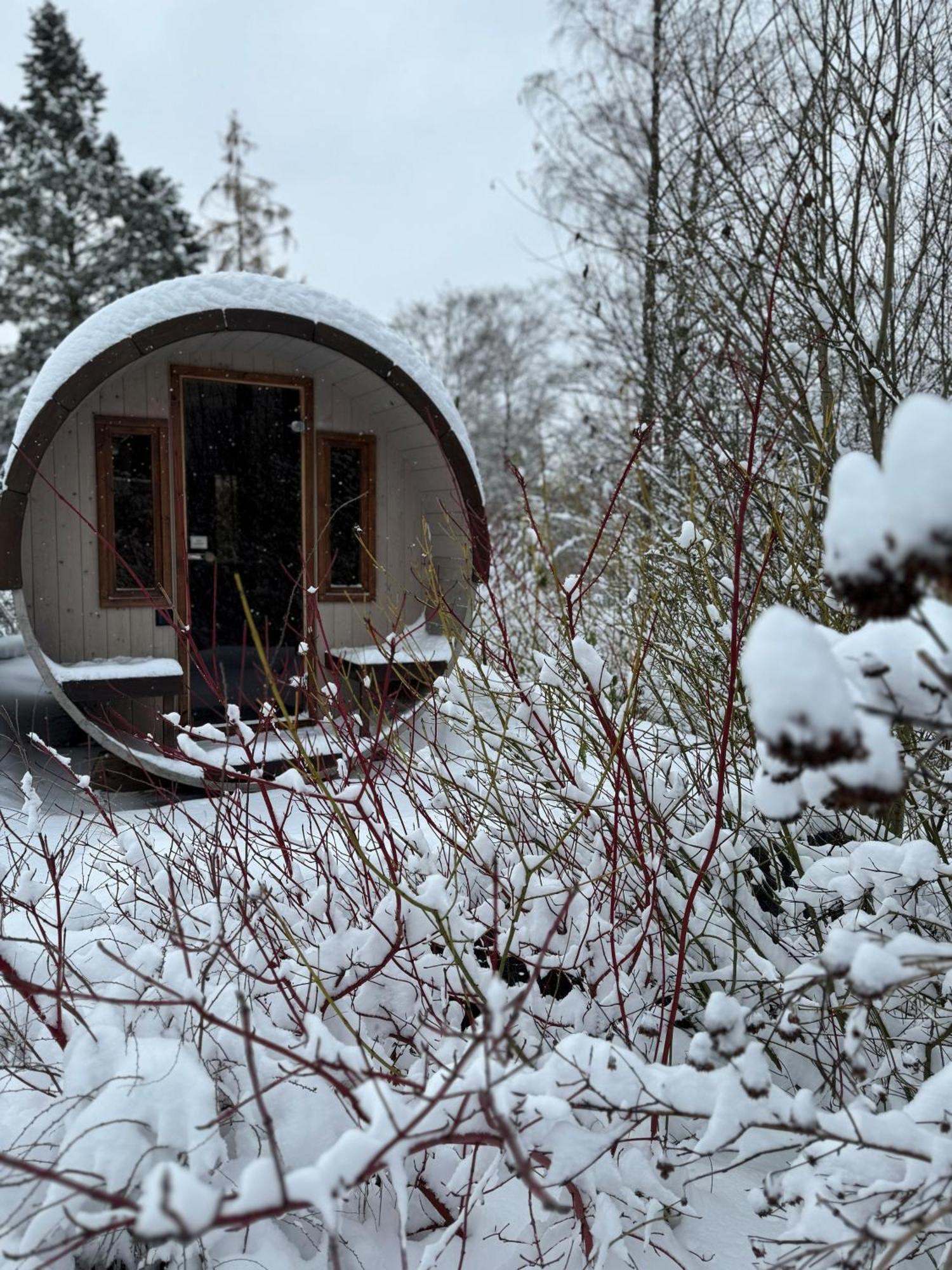 Bergtraum Braunlage Im Harz, 17 Gaeste, Sauna, Pool Villa Buitenkant foto