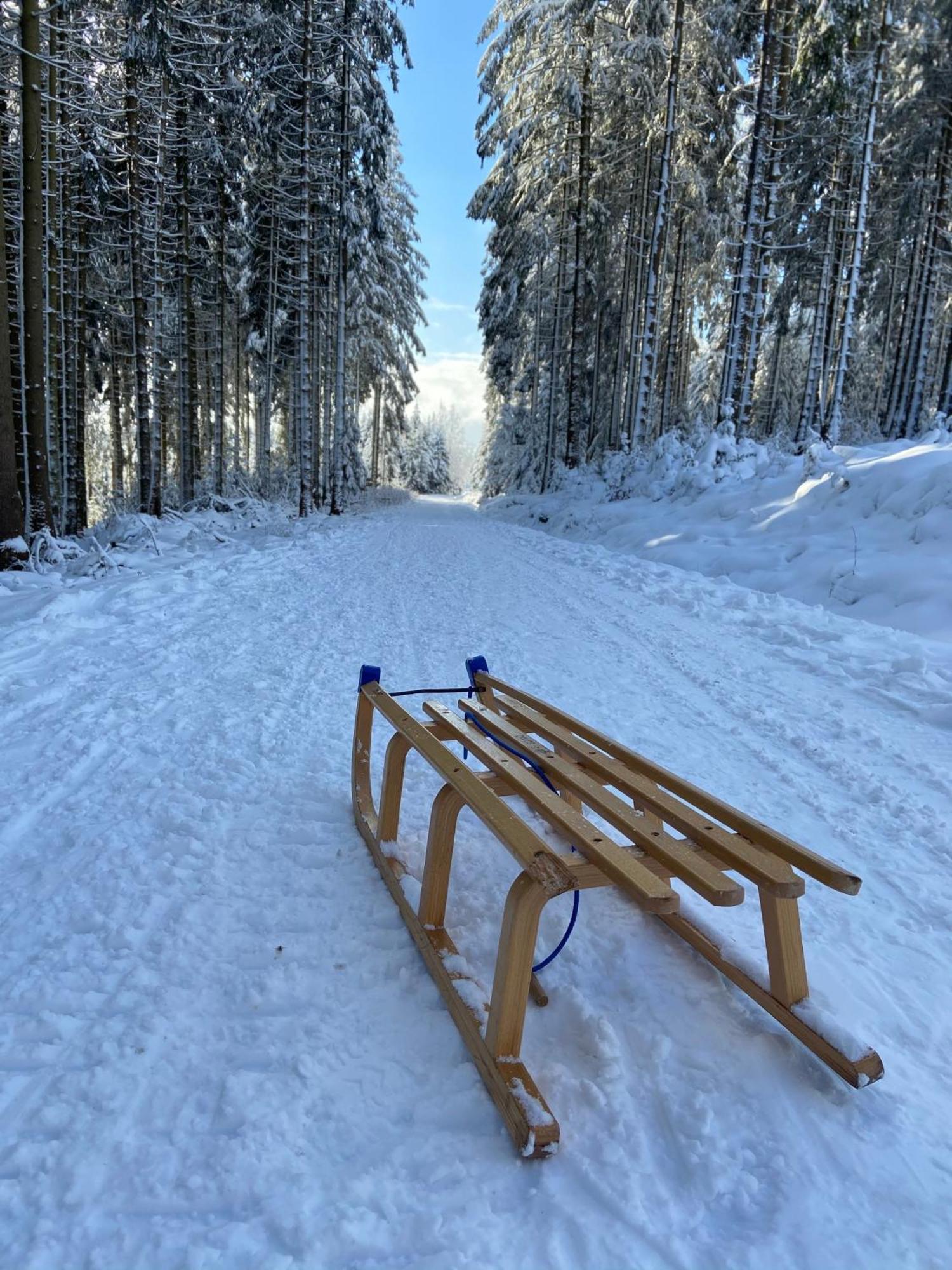 Bergtraum Braunlage Im Harz, 17 Gaeste, Sauna, Pool Villa Buitenkant foto